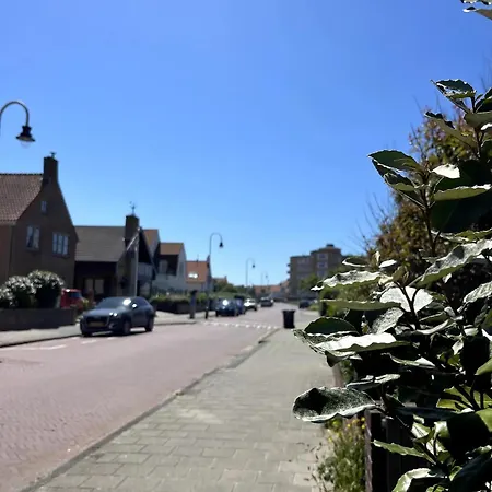 Gasthuis Boja House *