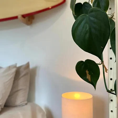 Гостевой дом Boja House